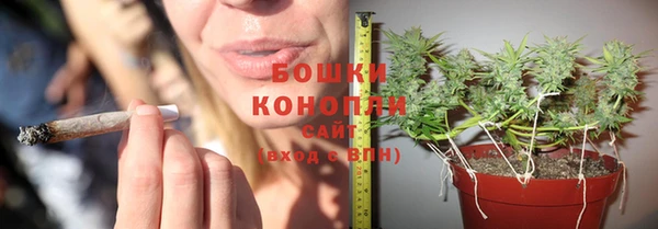каннабис Арсеньев