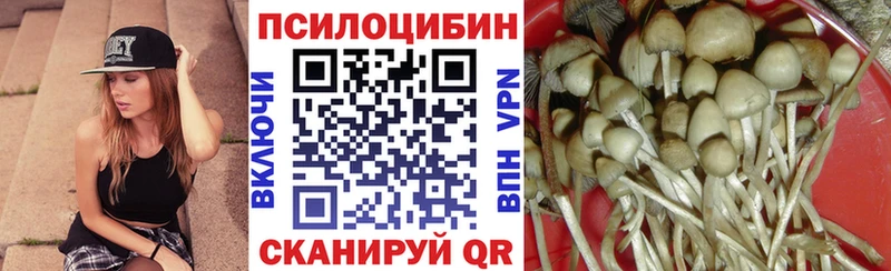 Галлюциногенные грибы MAGIC MUSHROOMS  Купить где  Кинель 